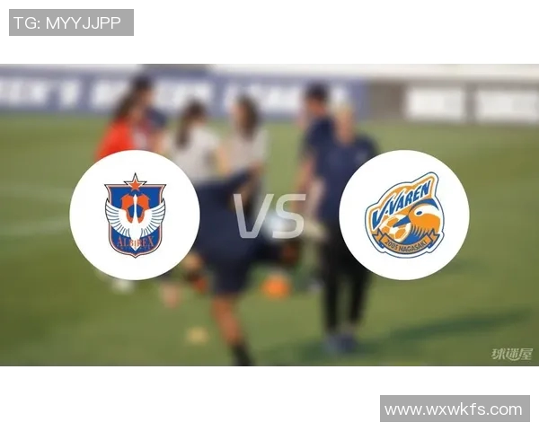 新泻天鹅与水壶蜀葵的精彩对决揭示了足球战术与团队合作的重要性